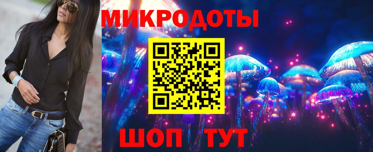 купить наркотики сайты  Вход с VPN  Усть-Джегута  Галлюциногенные грибы Psilocybine cubensis  Псилоцибиновые грибы Psilocybine cubensis 
